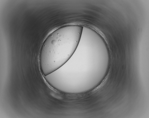 X0000108481425200904031110