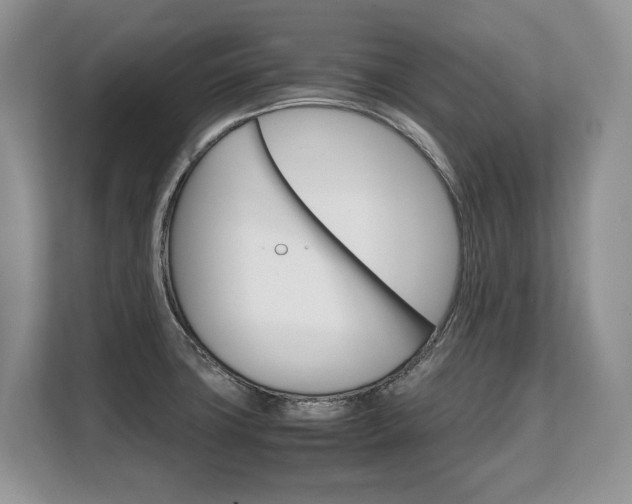 X0000108481427200904031110