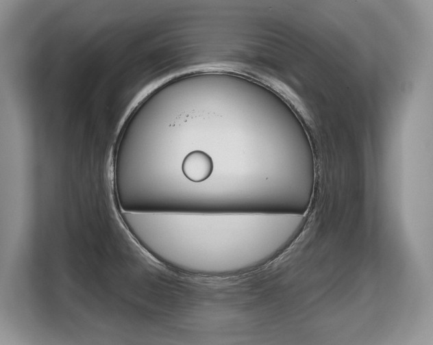 X0000108481428200904031110