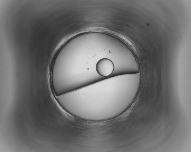 X0000108481430200904031110