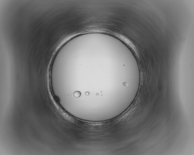 X0000108481431200904031110