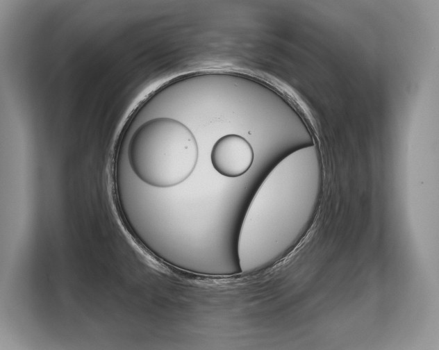 X0000108481432200904031110