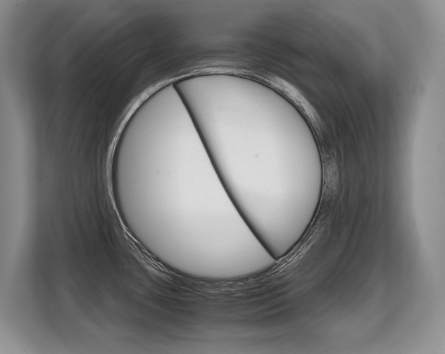 X0000108481435200904031110