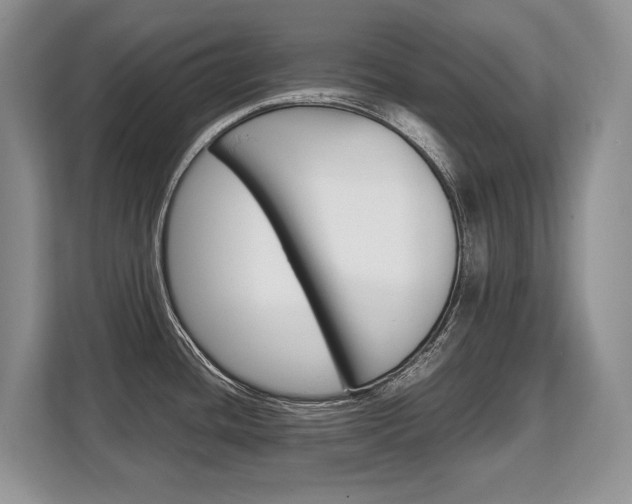 X0000108481436200904031110