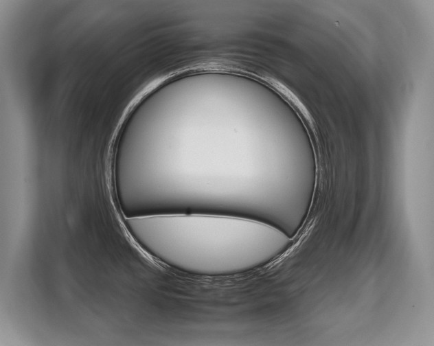 X0000108481437200904031110