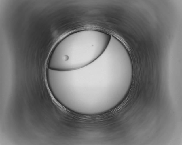 X0000108481439200904031110