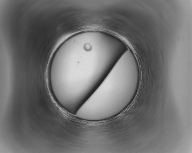 X0000108481440200904031111