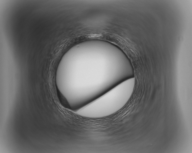 X0000108481441200904031110