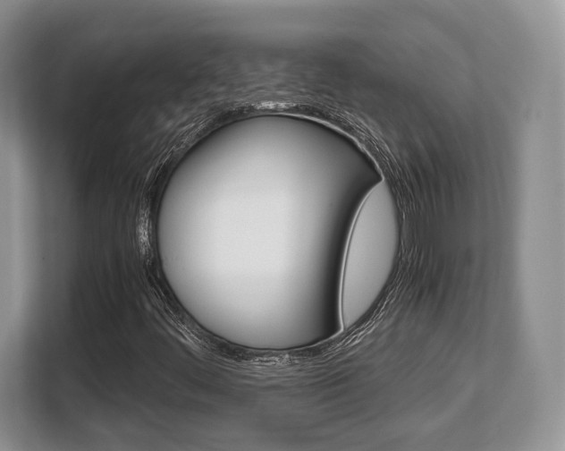 X0000108481444200904031110