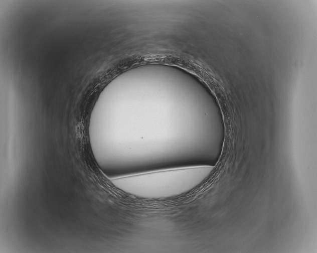 X0000108481445200904031110