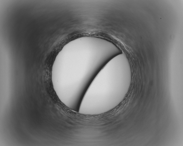 X0000108481447200904031110