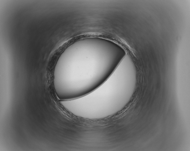 X0000108481448200904031110
