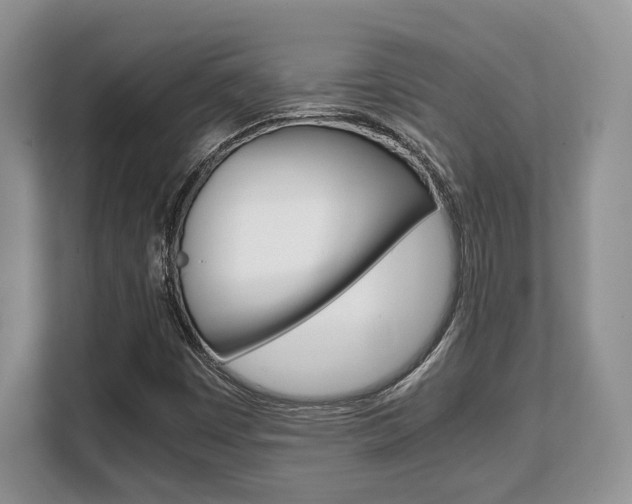 X0000108481449200904031110