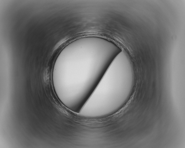 X0000108481450200904031110