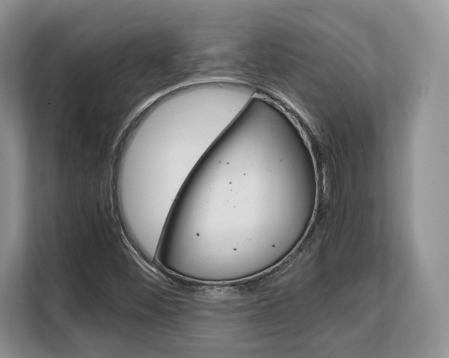 X0000108481452200904031110