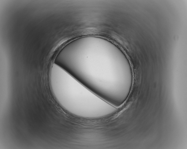 X0000108481453200904031110