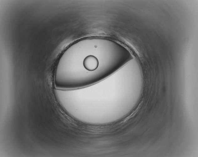 X0000108481455200904031110