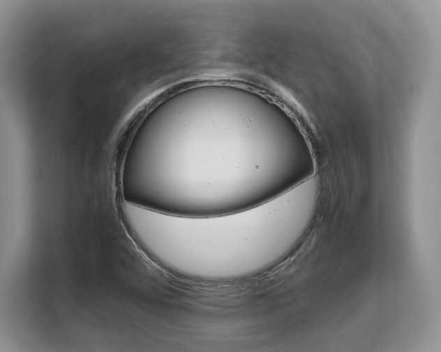 X0000108481456200904031110