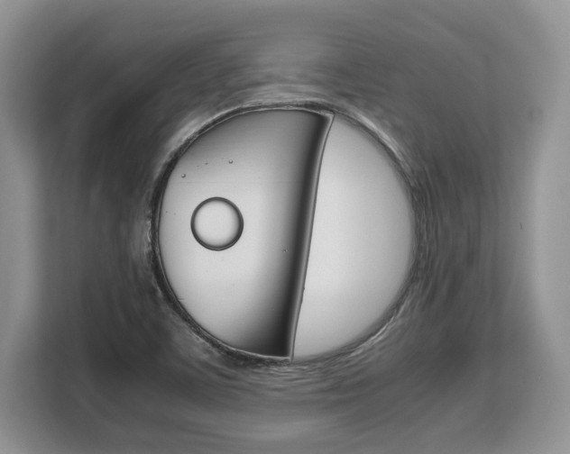 X0000108481459200904031110