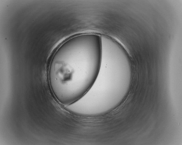 X0000108481460200904031110