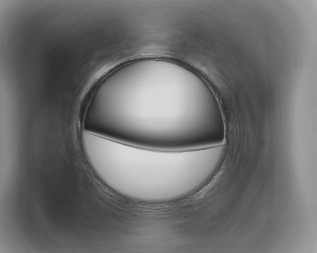X0000108481461200904031110