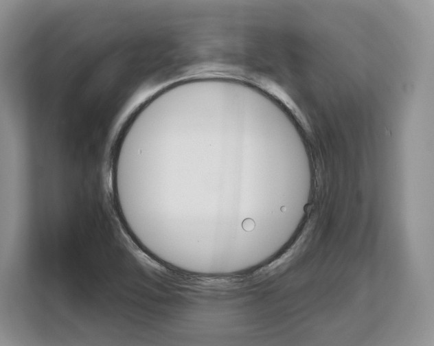 X0000108481462200904031110