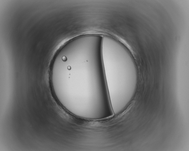 X0000108481463200904031110