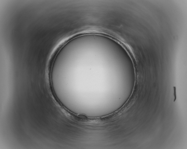 X0000108481464200904031110