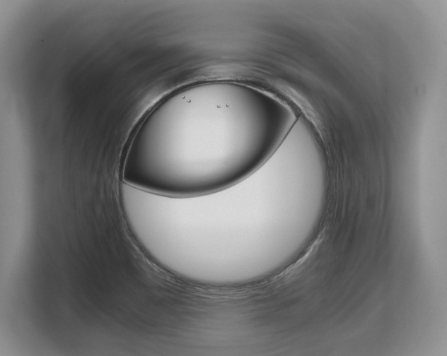 X0000108481465200904031110