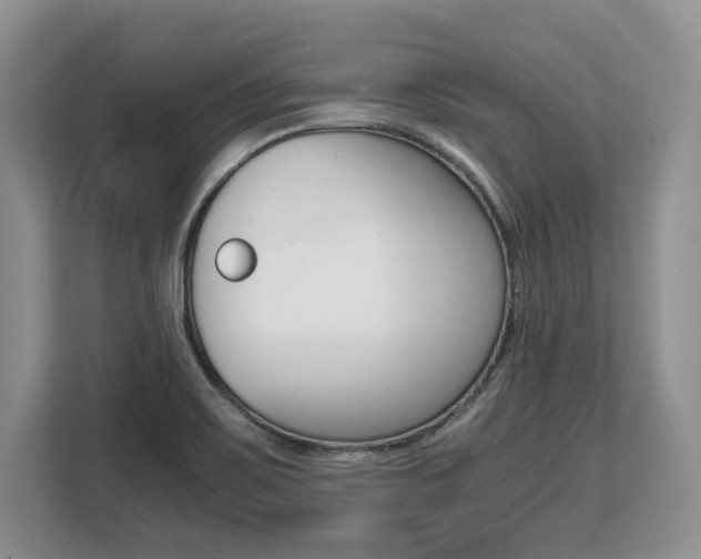 X0000108481467200904031110