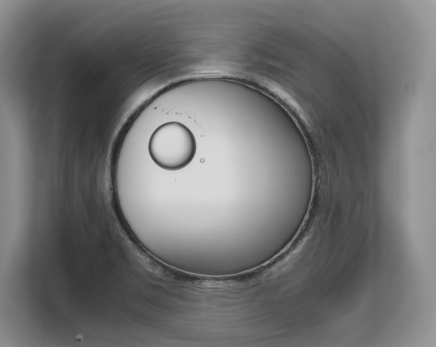 X0000108481469200904031109