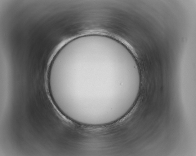 X0000108481470200904031109