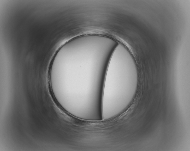 X0000108481471200904031109