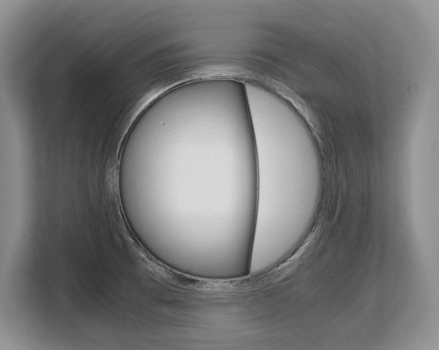 X0000108481473200904031109