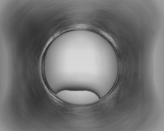 X0000108481475200904031109