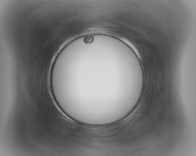 X0000108481477200904031109