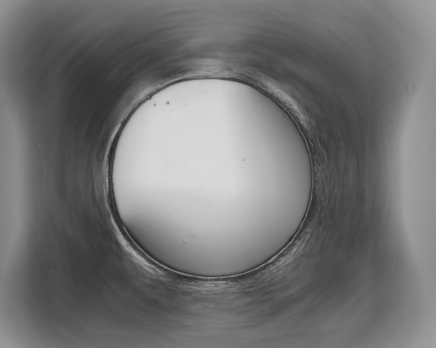 X0000108481479200904031109