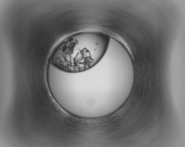 X0000108481480200904031109