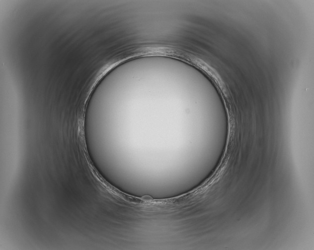 X0000108481481200904031109