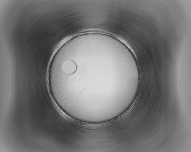 X0000108481482200904031109