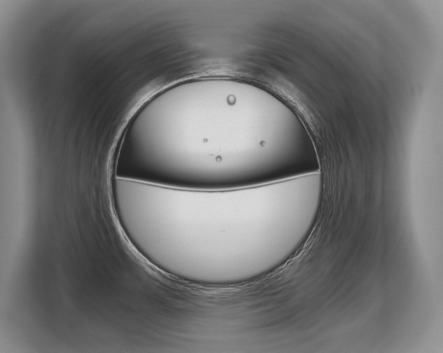X0000108481483200904031109