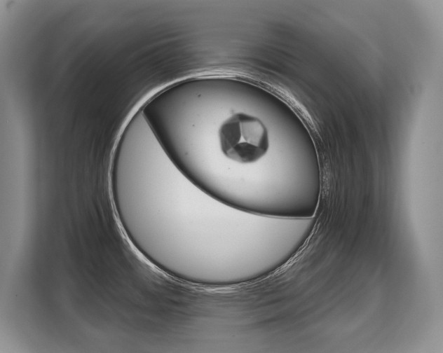 X0000108481484200904031109
