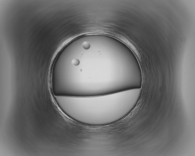 X0000108481485200904031109