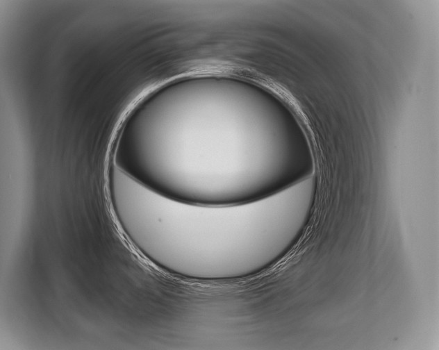 X0000108481488200904031109