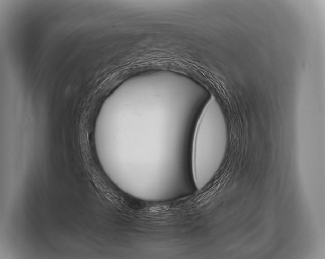 X0000108481489200904031109