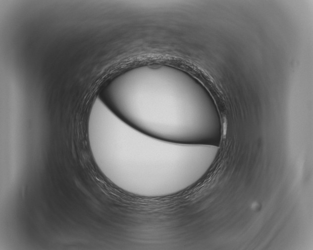 X0000108481492200904031109