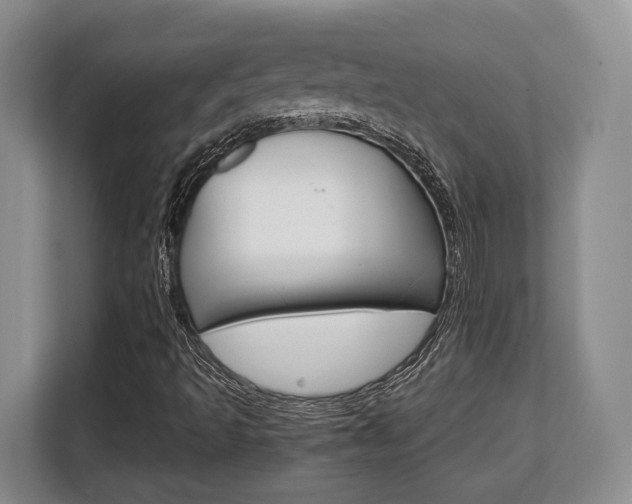 X0000108481493200904031109