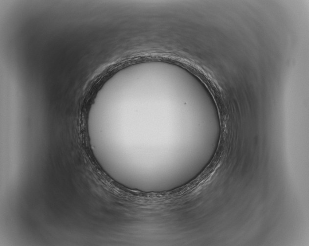 X0000108481494200904031109