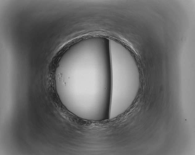 X0000108481496200904031109