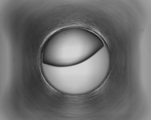 X0000108481500200904031109